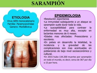 EPIDEMIOLOGIA
•Resolución espontanea
•La inmunidad subsiguiente a un ataque se
sarampión suele durar toda la vida.
•La susceptibilidad para contraer la
enfermedad es muy alta, excepto en
lactantes menores de 6 meses.
•Edades mas afectadas: Preescolares y
escolares.
•En países en desarrollo la letalidad, la
incidencia y la gravedad de las
complicaciones son mas acentuadas en
poblaciones de bajo nivel socioeconómico y
cultural.
•En 2015 hubo 134.200 muertes por sarampión
en todo el mundo, es decir, cerca de 367 por día
o 15 por hora.
SARAMPIÓN
ETIOLOGIA
Virus ARN monocatenario
Familia: Paramyxoviridae
Genero: Morbillivirus
 