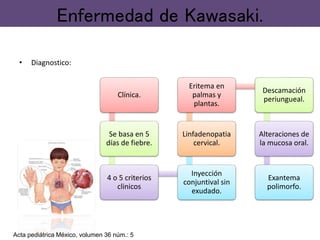 • Diagnostico:
Enfermedad de Kawasaki.
Clínica.
Se basa en 5
días de fiebre.
4 o 5 criterios
clinicos
Inyección
conjuntival sin
exudado.
Linfadenopatia
cervical.
Eritema en
palmas y
plantas.
Descamación
periungueal.
Alteraciones de
la mucosa oral.
Exantema
polimorfo.
Acta pediátrica México, volumen 36 núm.: 5
 