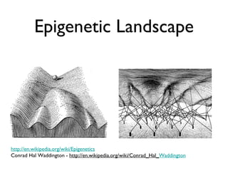 Exaptation | PPT