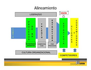 Alineamiento
                                            VISIÓN
             LIDERAZGO

                                    E                    C
         P                          S                    O
                        T                     E
         R                          T                    N
              D         A                     S      C
         O                          R
                                              T          S
C             E         L           U                L
A
         C                                    R          U
                        E           C                I   M
M        E                                    A
                        N           T                E Y I
B
         S    R                               T
I                       T           U                N   D
O        O    H         O                     E      T
                                    R                    O
         S                                    G      E
                                    A                    R
                                              I      S
                                              A          E
       ESTRATÉGICO   COMPETEN-     POR
        OPERATIVO      CIAS      PROCESOS
                                                         S



    CULTURA ORGANIZACIONAL
                                            COMPETIDORES
 