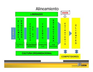 Alineamiento
                                                      VISIÓN
                     LIDERAZGO


     S     P                                  E
     I     R                                  S
                    P             T                     E
     S     O                                  T                C
                    R             A                     S
     T     C            D                     R                L
C                   O             L                     T
     E     E            E                     U
A                   C             E                     R      I
     M     S                                  C
M
                    E             N                     A      E
B    A     O            R                     T
I                   S             T                     T      N
     S     S            H                     U
O                   O             O                     E
                                              R                T
       Y            S                                   G
                                              A
                                                        I
                                                               E
    TECNOLO-                                            A      S
                 ESTRATÉGICO   COMPETEN-     POR
     GÍA / I T    OPERATIVO      CIAS      PROCESOS




           CULTURA ORGANIZACIONAL
                                                      COMPETIDORES
 