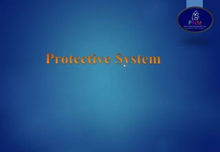 Excavation and Demolition powerpoint presentation | PPTX