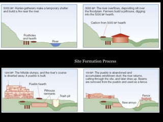 Site Formation Process
 