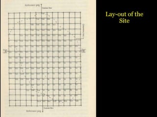 Lay-out of the
Site
 
