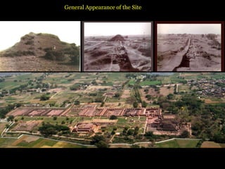 General Appearance of the Site
 