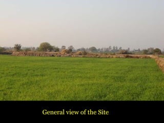 General view of the Site
 