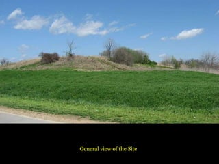 General view of the Site
 