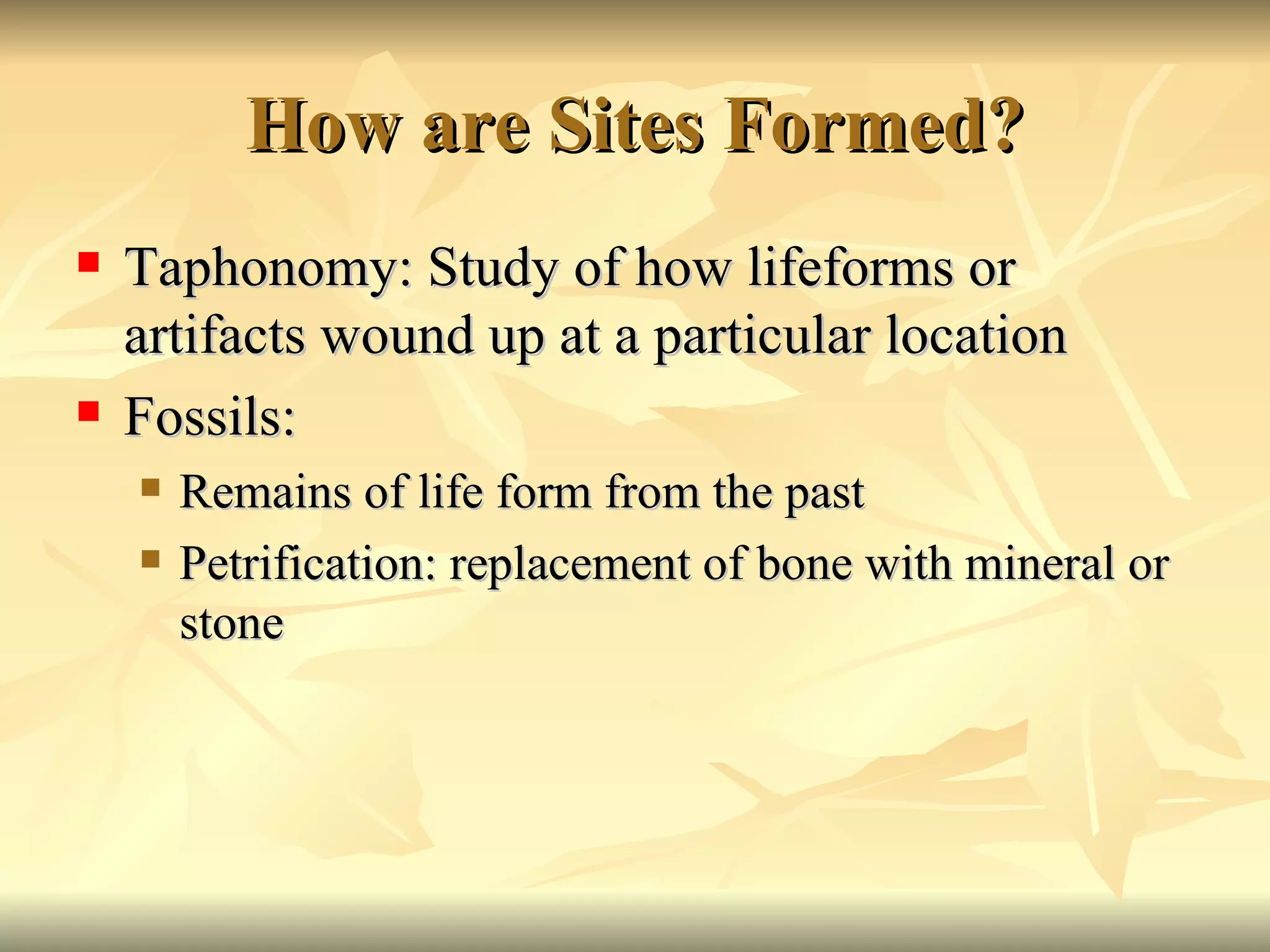 How are Sites Formed? Taphonomy: Study of how lifeforms or artifacts wound up at a particular location Fossils: Remains of life form from the past Petrification: replacement of bone with mineral or stone 