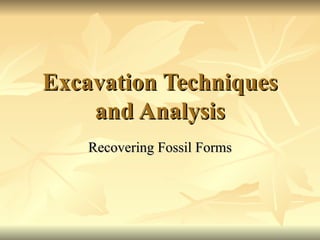 Excavation Techniques and Analysis Recovering Fossil Forms 