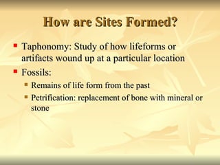 How are Sites Formed? Taphonomy: Study of how lifeforms or artifacts wound up at a particular location Fossils: Remains of life form from the past Petrification: replacement of bone with mineral or stone 