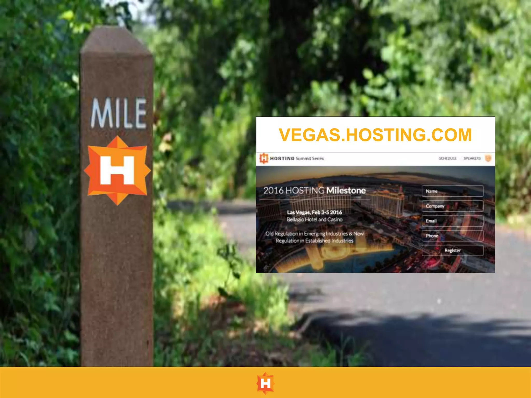 VEGAS.HOSTING.COM
 