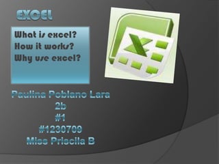 EXCEL Whatisexcel? Howitworks? Why use excel? Paulina Poblano Lara 2b #1 #1230709 Miss Priscila B 