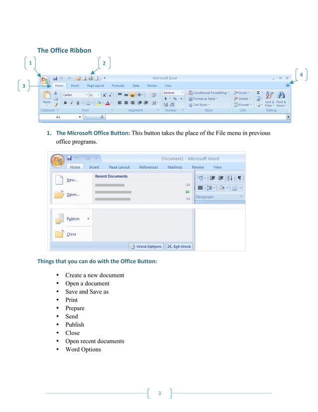 Intro to Microsoft Excel 2007 | PDF