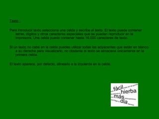 Texto :

Para introducir texto selecciona una celda y escribe el texto. El texto puede contener
   letras, dígitos y otros caracteres especiales que se puedan reproducir en la
   impresora. Una celda puede contener hasta 16.000 caracteres de texto.

Si un texto no cabe en la celda puedes utilizar todas las adyacentes que están en blanco
    a su derecha para visualizarlo, no obstante el texto se almacena únicamente en la
    primera celda.

El texto aparece, por defecto, alineado a la izquierda en la celda.
 