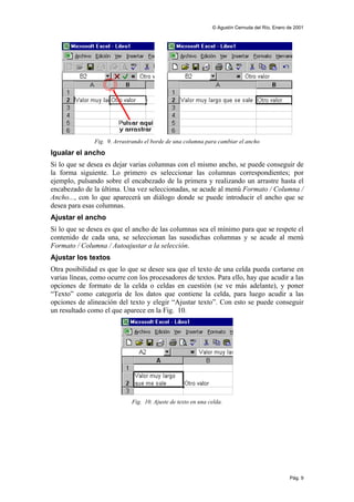 © Agustín Cernuda del Río, Enero de 2001




               Fig. 9. Arrastrando el borde de una columna para cambiar el ancho
Igualar el ancho
Si lo que se desea es dejar varias columnas con el mismo ancho, se puede conseguir de
la forma siguiente. Lo primero es seleccionar las columnas correspondientes; por
ejemplo, pulsando sobre el encabezado de la primera y realizando un arrastre hasta el
encabezado de la última. Una vez seleccionadas, se acude al menú Formato / Columna /
Ancho..., con lo que aparecerá un diálogo donde se puede introducir el ancho que se
desea para esas columnas.
Ajustar el ancho
Si lo que se desea es que el ancho de las columnas sea el mínimo para que se respete el
contenido de cada una, se seleccionan las susodichas columnas y se acude al menú
Formato / Columna / Autoajustar a la selección.
Ajustar los textos
Otra posibilidad es que lo que se desee sea que el texto de una celda pueda cortarse en
varias líneas, como ocurre con los procesadores de textos. Para ello, hay que acudir a las
opciones de formato de la celda o celdas en cuestión (se ve más adelante), y poner
“Texto” como categoría de los datos que contiene la celda, para luego acudir a las
opciones de alineación del texto y elegir “Ajustar texto”. Con esto se puede conseguir
un resultado como el que aparece en la Fig. 10.




                             Fig. 10. Ajuste de texto en una celda.




                                                                                               Pág. 9
 
