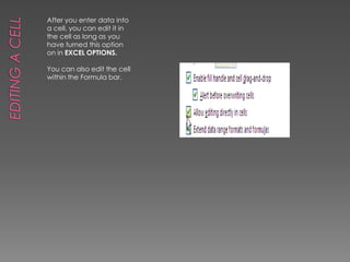 Editing a Cell After you enter data into a cell, you can edit it in the cell as long as you have turned this option on in EXCEL OPTIONS.You can also edit the cell within the Formula bar. 