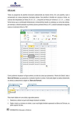 CÉLULAS

Todos os programas de planilha funcionam praticamente da mesma forma. Em uma planilha, tudo é
armazenado em caixas pequenas chamadas células. Sua planilha é dividida em colunas e linhas, as
colunas são etiquetadas por letras (A, B, C, D, ...) enquanto as linhas por números (1, 2, 3, 4, ...), dessa
forma temos que a combinação letra(coluna) e número(linha) resulta no endereço ou nome das células,
por exemplo, a célula localizada na primeira coluna e primeira linha é a “A1”, a célula localizada na segunda
coluna e na terceira linha é a “B3”.




Como pudemos visualizar na figura anterior, ao lado da caixa que apresenta o “Nome da Célula”, está a
Barra de Fórmula, que apresenta o conteúdo inserido na célula. Você pode digitar os dados diretamente
na célula ou selecioná-la e digitar na “Barra de Fórmula”.




Para inserir dados em uma célula, siga estes passos:
1.	 	 Selecione a célula na qual você deseja introduzir os dados.

2.	 	 Digite o texto ou números na célula, o que você digitar também aparecerá na Barra de Fórmula, na
     parte superior da tela.

80   INFORMÁTICA| Educação a Distância
 