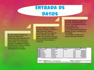 ENTRADA DE
DATOS

En una hoja de trabajo de
Excel, los datos son
manejados generalmente de
forma individual dentro de
cada celda, no se escriben
grandes cantidades de texto
o números en forma continua
como se hace con los
procesadores de textos.

En las celdas se pueden
introducir datos numéricos o
alfanuméricos (letras y
números), esto se logra de
forma simple, pues solo
basta con escribir el tipo de
dato y pulsar la tecla Enter o
las teclas direccionales o
cursoras.

Se debe tener en cuenta que
cada tipo de datos tiene un
formato de alineación dentro
de las celdas ya
preestablecido así:
* Los datos alfanuméricos se
alinean al lado izquierdo de
las celdas.
* Los datos numéricos se
alinean del lado derecho.

 