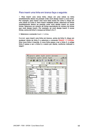 Para inserir uma linha em branco faça o seguinte:
1. Para inserir uma única linha, clique em uma célula na linha
imediatamente abaixo da posição onde você deseja inserir a nova linha.
Por exemplo, para inserir uma nova linha acima da Linha 5, clique em
uma célula na Linha 5. Para inserir múltiplas linhas, selecione as linhas
imediatamente abaixo da posição onde você deseja inserir as novas
linhas. Selecione um número de linhas equivalente ao número de linhas
que você deseja inserir. Por exemplo, se você deseja inserir 3 novas
linhas, acima da linha 5, marque as linhas 5, 6 e 7.
2. Selecione o comando Inserir -> Linhas.
Exemplo: para inserir uma linha em branco, acima da linha 5, clique em
qualquer célula da linha 5 e selecione o comando Inserir -> Linhas.
Uma nova linha é inserida. A nova linha passa a ser a linha 5, a antiga
linha 5 passa a ser a linha 6, e assim por diante, conforme indicado a
seguir:
UNICAMP – FEM – SIFEM - Curso Básico Excel 12
 