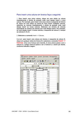 Para inserir uma coluna em branco faça o seguinte:
1. Para inserir uma única coluna, clique em uma célula na coluna
imediatamente à direita da posição onde você deseja inserir a nova
coluna. Por exemplo, para inserir uma nova coluna à esquerda da Coluna
B, clique em uma célula na Coluna B. Para inserir múltiplas colunas,
selecione as colunas imediatamente à direita da posição onde você
deseja inserir as novas colunas. Selecione um número de colunas
equivalente ao número de colunas que você deseja inserir. Por exemplo,
se você deseja inserir 3 novas colunas, à esquerda da coluna C, marque
as colunas C, D e E.
2. Selecione o comando Inserir -> Colunas.
Exemplo: para inserir uma coluna em branco, à esquerda da coluna D,
clique em qualquer célula da Coluna D e selecione o comando Inserir ->
Colunas. Uma nova Coluna será inserida. A nova coluna passa a ser a
coluna D, a antiga coluna D passa a ser a Coluna E, e assim por diante,
conforme indicado a seguir:
UNICAMP – FEM – SIFEM - Curso Básico Excel 13
 