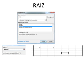 RAIZ
 