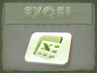 Excel. 