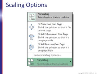 Scaling Options
Copyright © 2015 30 Bird Media LLC
 