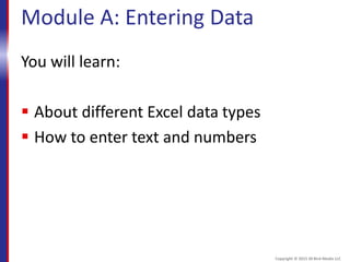 Module A: Entering Data
You will learn:
 About different Excel data types
 How to enter text and numbers
Copyright © 2015 30 Bird Media LLC
 