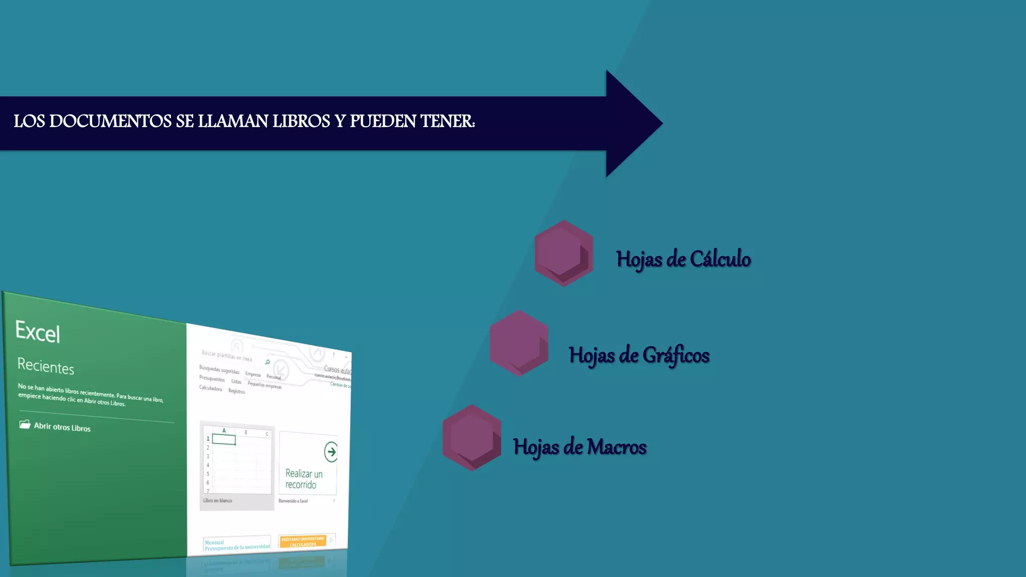 LOS DOCUMENTOS SE LLAMAN LIBROS Y PUEDEN TENER:
 