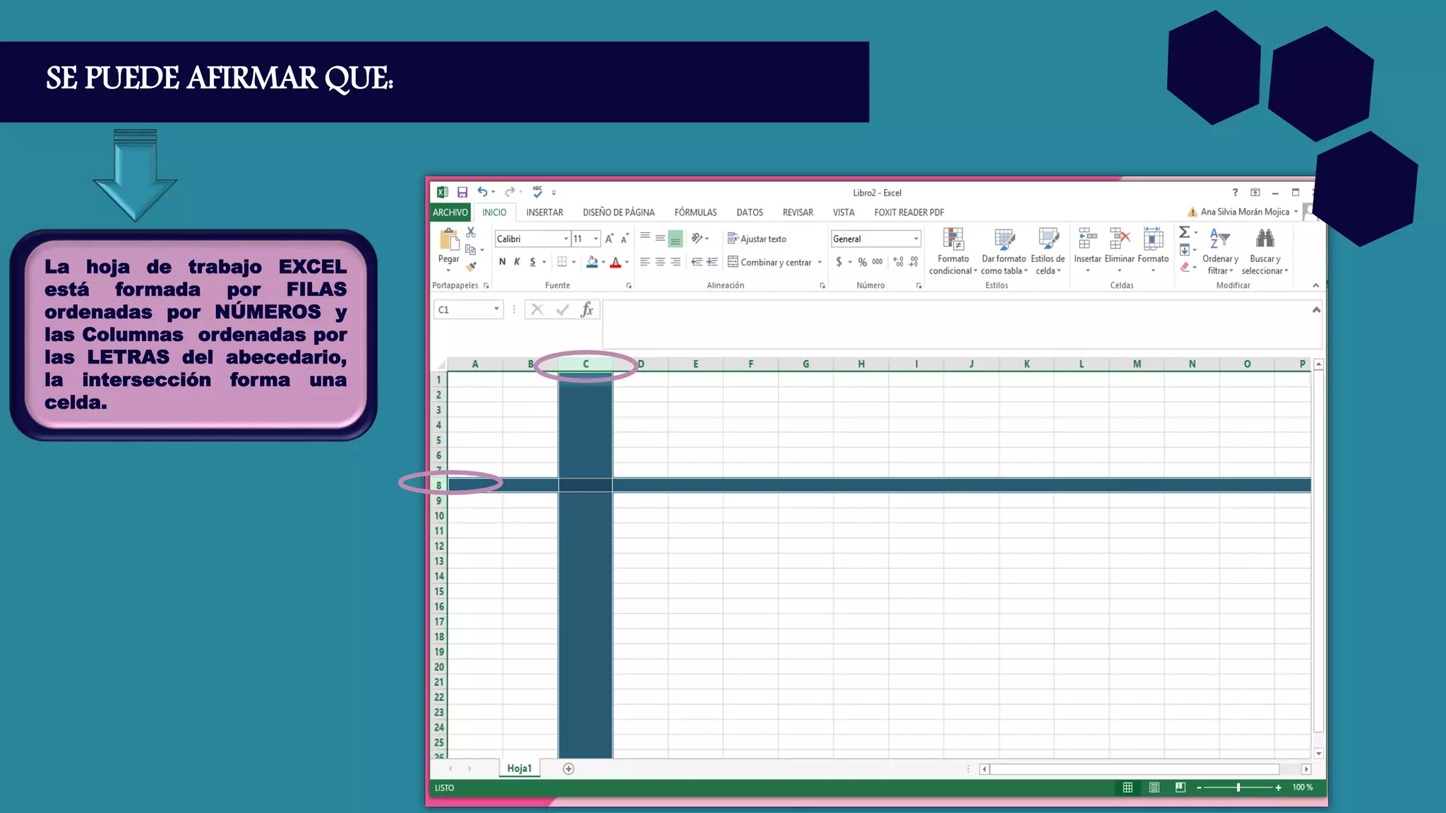 SE PUEDE AFIRMAR QUE:
La hoja de trabajo EXCEL
está formada por FILAS
ordenadas por NÚMEROS y
las Columnas ordenadas por
las LETRAS del abecedario,
la intersección forma una
celda.
 