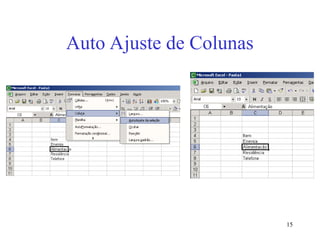 15
Auto Ajuste de Colunas
 