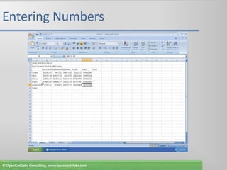 Entering Numbers© OpenCastLabs Consulting. www.opencast-labs.com