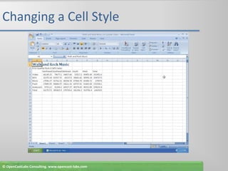 Changing a Cell Style© OpenCastLabs Consulting. www.opencast-labs.com