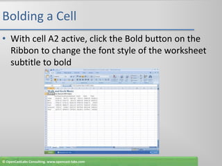 Bolding a CellWith cell A2 active, click the Bold button on the Ribbon to change the font style of the worksheet subtitle to bold© OpenCastLabs Consulting. www.opencast-labs.com