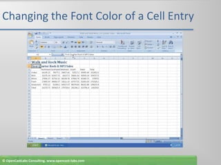 Changing the Font Color of a Cell Entry© OpenCastLabs Consulting. www.opencast-labs.com