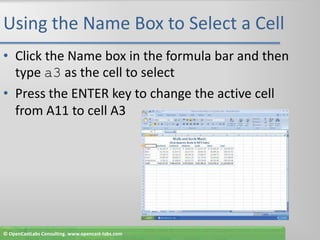 Using the Name Box to Select a CellClick the Name box in the formula bar and then type a3 as the cell to selectPress the ENTER key to change the active cell from A11 to cell A3© OpenCastLabs Consulting. www.opencast-labs.com