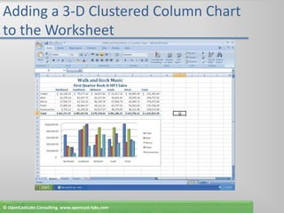 Adding a 3-D Clustered Column Chart to the Worksheet© OpenCastLabs Consulting. www.opencast-labs.com