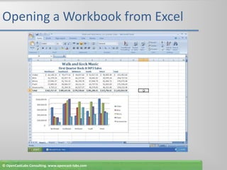 Opening a Workbook from Excel© OpenCastLabs Consulting. www.opencast-labs.com
