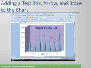 Adding a Text Box, Arrow, and Brace to the Chart© OpenCastLabs Consulting. www.opencast-labs.com