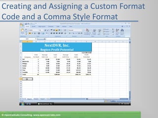 Creating and Assigning a Custom Format Code and a Comma Style Format© OpenCastLabs Consulting. www.opencast-labs.com