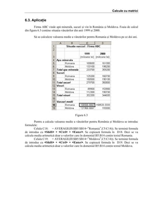 Calcule cu matrici

6.3. Aplicaţie
Firma ABC vinde ap[ mineral[, sucuri =i vin ]n Rom`nia =i Moldova. Foaia de calcul
din figura 6.3 conine situaia v`nz[rilor din anii 1999 =i 2000.
S[ se calculeze valoarea medie a v`nz[rilor pentru Romania =i Moldova pe ce doi ani.

Figura 6.3
Pentru a calcula valoarea medie a v`nz[rilor pentru Rom`nia =i Moldova se introduc
formulele:
Celula C18: ˆ AVERAGE(IF($B5:$B14ˆ”Romania”,C5:C14)). Se termin[ formula
de introdus cu <Shift> + <Ctrl> + <Enter>. Se copieaz[ formula ]n D18. Deci se va
calcula media aritmetic[ doar a valorilor care ]n domeniul B5:B14 conin textul Romania.
Celula C19: ˆ AVERAGE(IF($B5:$B14ˆ”Moldova”,C5:C14)). Se termin[ formula
de introdus cu <Shift> + <Ctrl> + <Enter>. Se copieaz[ formula ]n D19. Deci se va
calcula media aritmetic[ doar a valorilor care ]n domeniul B5:B14 conin textul Moldova.

 