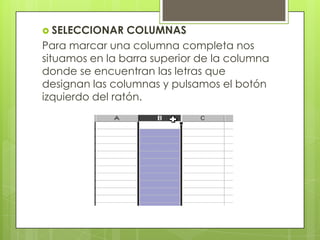  SELECCIONAR    COLUMNAS
Para marcar una columna completa nos
situamos en la barra superior de la columna
donde se encuentran las letras que
designan las columnas y pulsamos el botón
izquierdo del ratón.
 