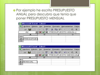  Por
    ejemplo he escrito PRESUPUESTO
 ANUAL pero descubro que tenia que
 poner PRESUPUESTO MENSUAL
 