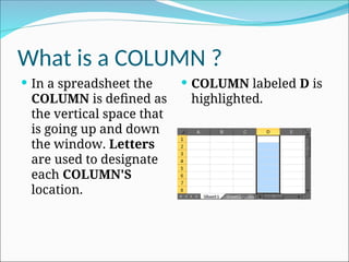 What is a COLUMN ?
 In a spreadsheet the
COLUMN is defined as
the vertical space that
is going up and down
the window. Letters
are used to designate
each COLUMN'S
location.
 COLUMN labeled D is
highlighted.
 
