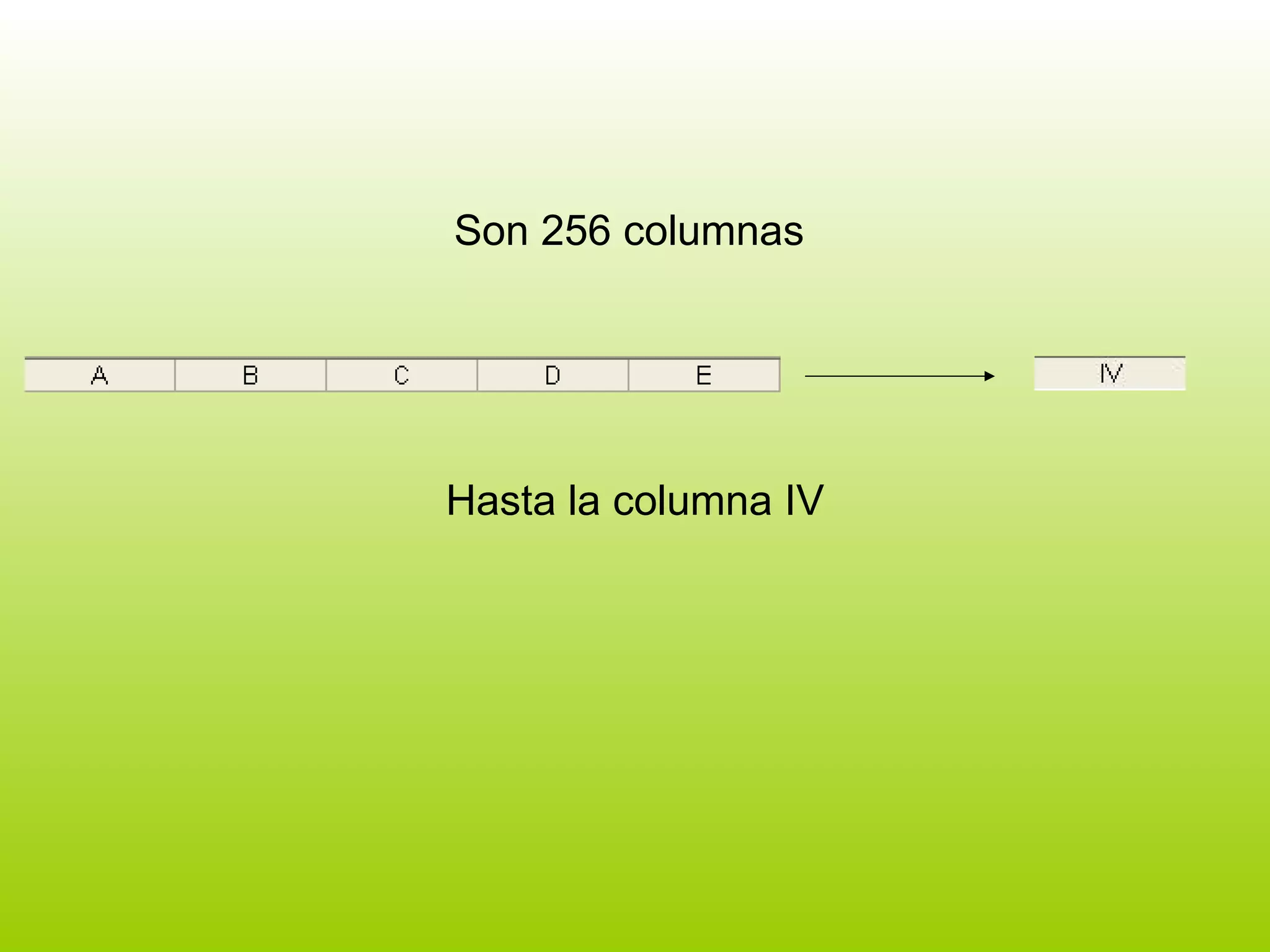Son 256 columnas  Hasta la columna IV 