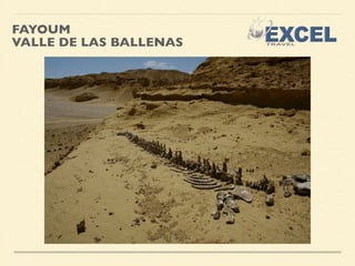 FAYOUM 
VALLE DE LAS BALLENAS 
 