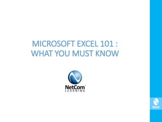 MICROSOFT EXCEL 101 :
WHAT YOU MUST KNOW
 