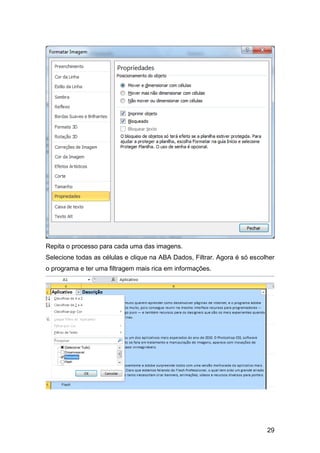 Repita o processo para cada uma das imagens.
Selecione todas as células e clique na ABA Dados, Filtrar. Agora é só escolher
o programa e ter uma filtragem mais rica em informações.




                                                                           29
 