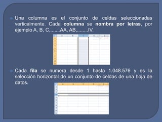    Una columna es el conjunto de celdas seleccionadas
    verticalmente. Cada columna se nombra por letras, por
    ejemplo A, B, C,.......AA, AB,........IV.




   Cada fila se numera desde 1 hasta 1.048.576 y es la
    selección horizontal de un conjunto de celdas de una hoja de
    datos.
 