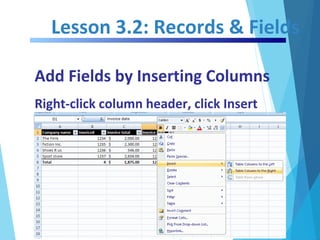 Lesson 3.2: Records & Fields
Add Fields by Inserting Columns
Right-click column header, click Insert
 